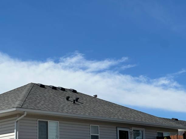 Best Rubber Roofing (EPDM, TPO)  in Alturas, CA